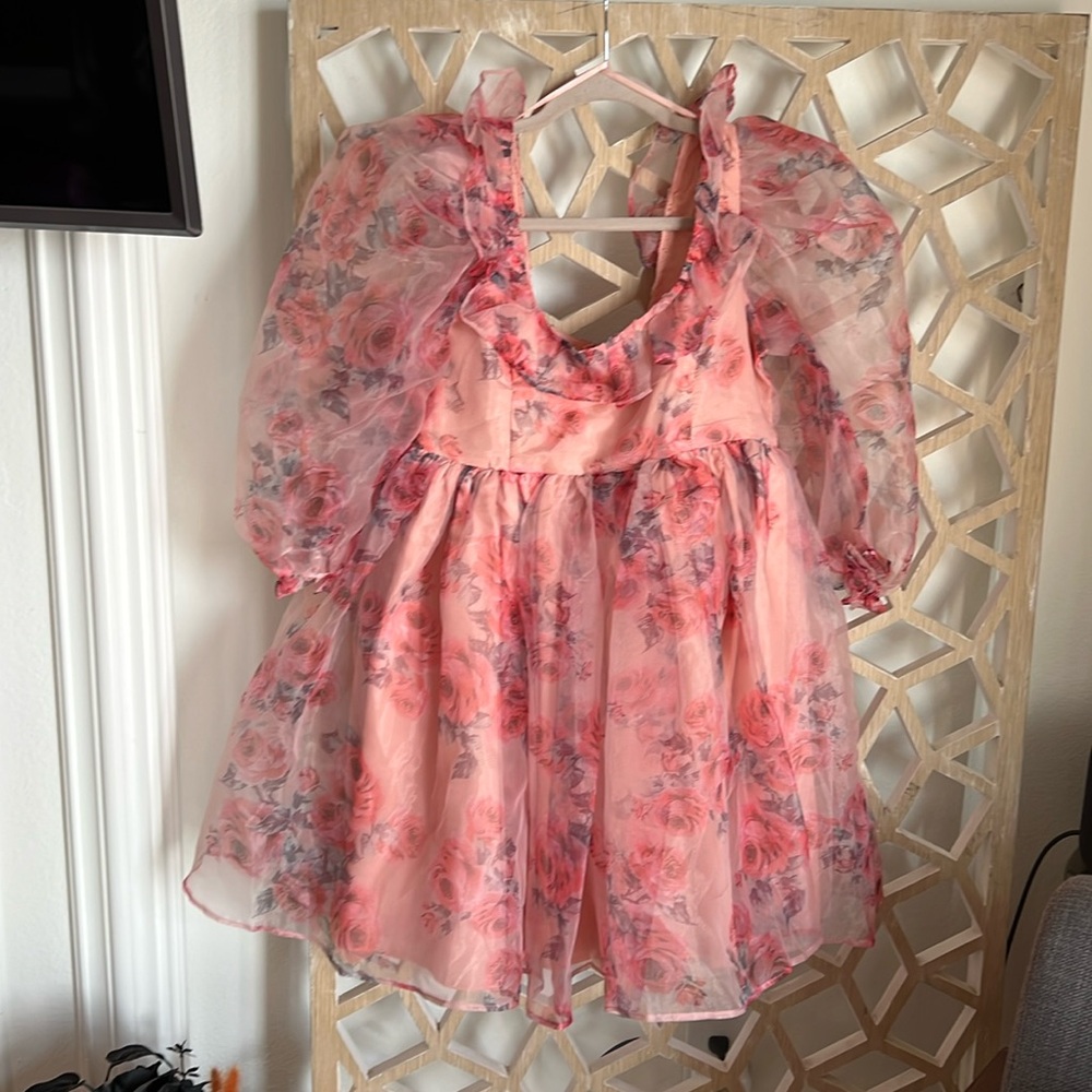 Medium pink colored dress with roses and sheer, puff sleeves from MABLE.